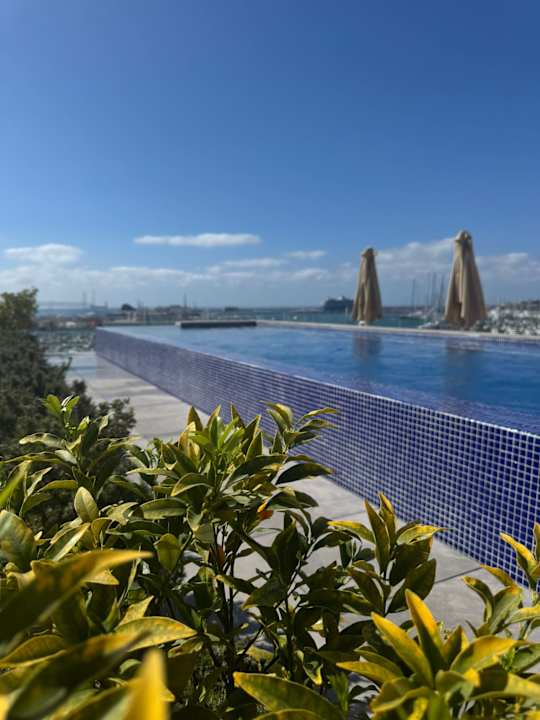 Pool Hotel Mirador