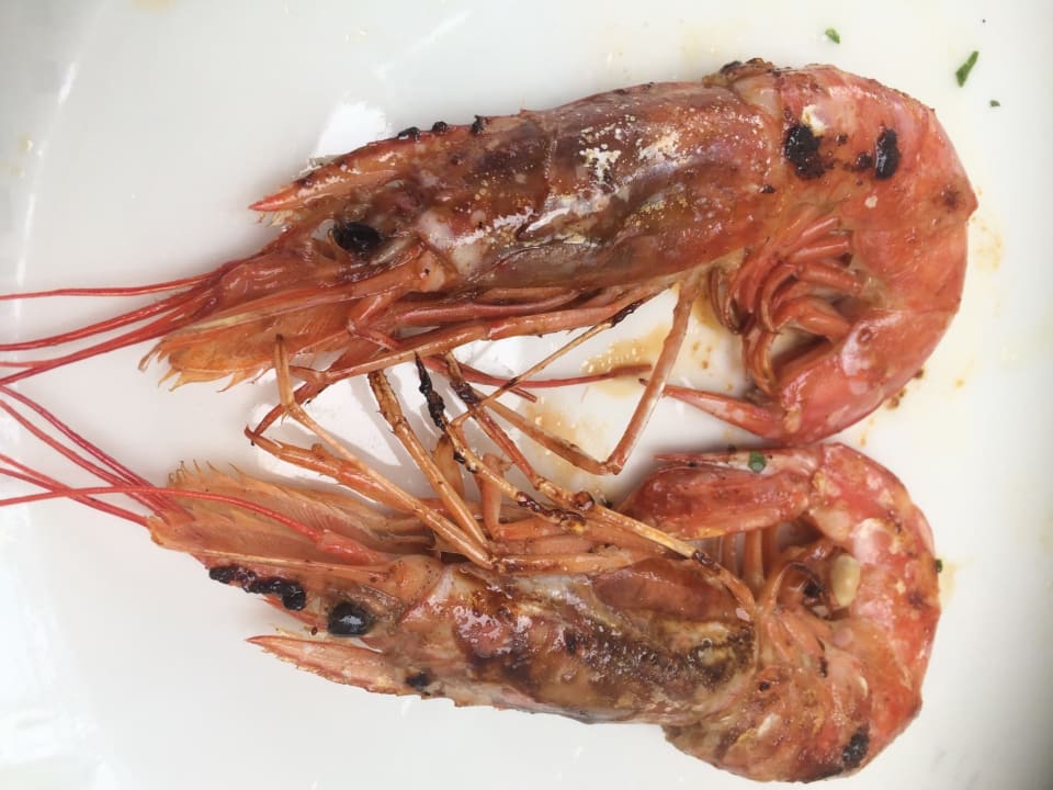 Gastro Spring Hotel Vulcano