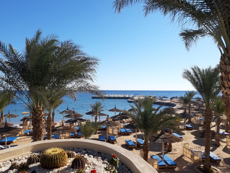 Ausblick Beach Albatros Resort