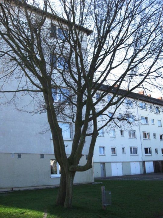 8. Ansicht Garner Hotel Bremen North by IHG