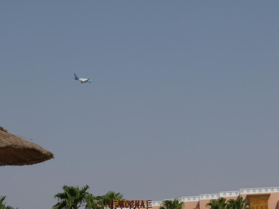 Vom Pool Beach Albatros Resort