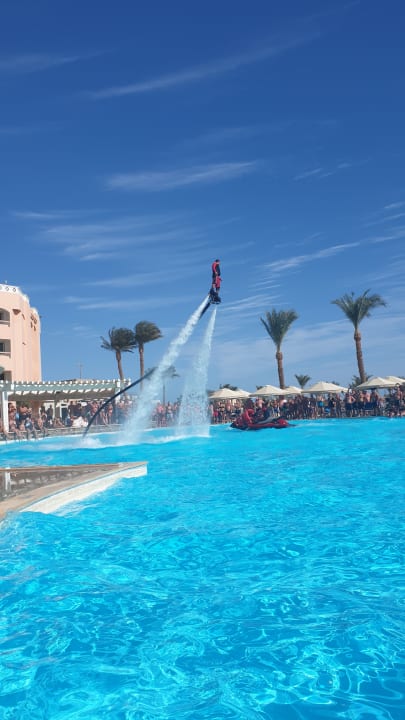 Pool Beach Albatros Resort