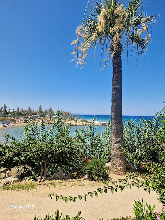 Außenansicht Crystal Springs Beach Hotel