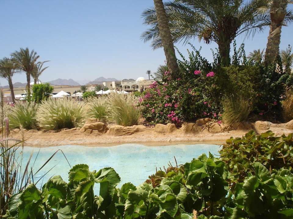 Sztuczny strumyk Regency Plaza Aqua Park & Spa