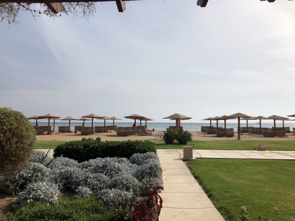Zimmer Shams Prestige Abu Soma-Adults Only