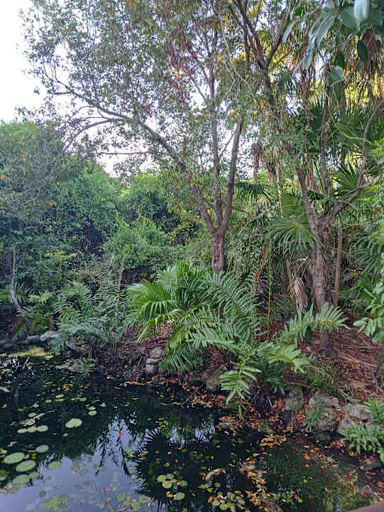 Gartenanlage Iberostar Waves Paraiso Beach