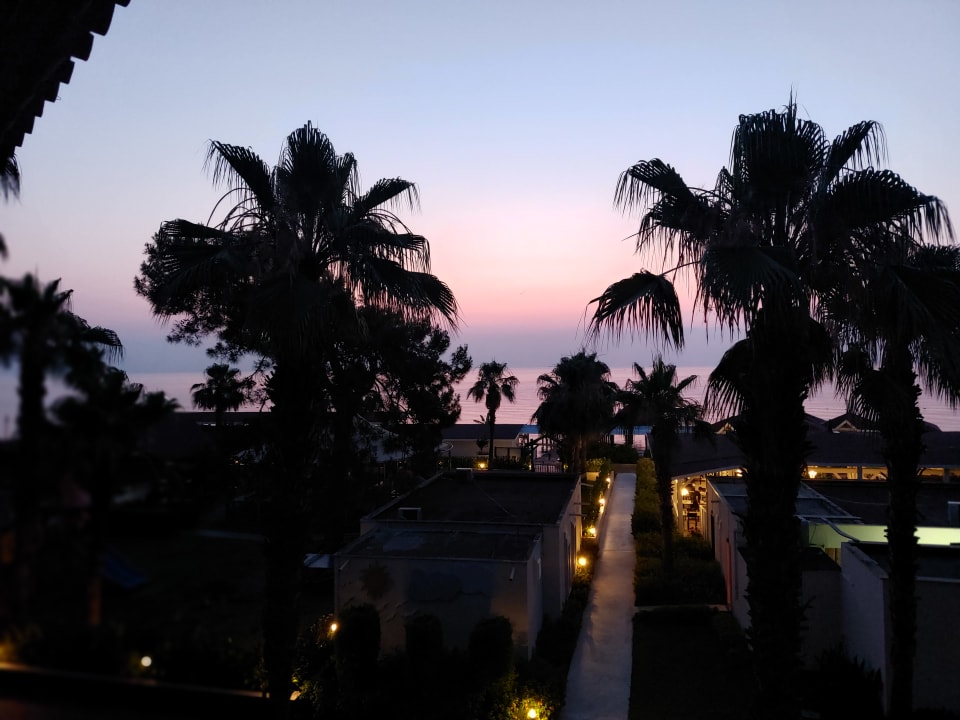 Ausblick Crystal Flora Pearl Collection