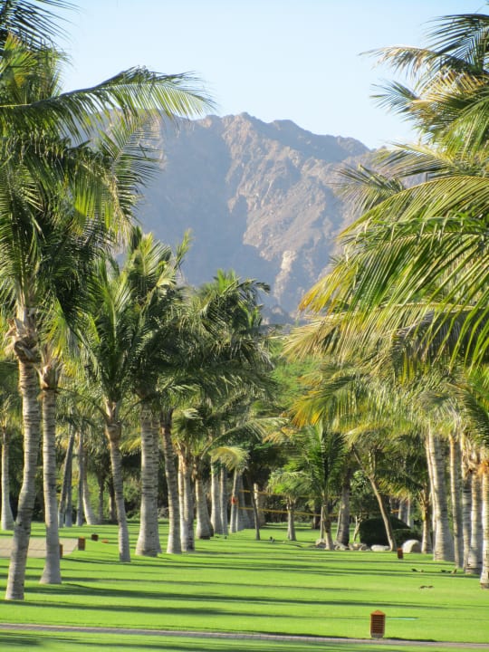 Wunderschöne Gartenanlage Al Bustan Palace - A Ritz-Carlton Hotel