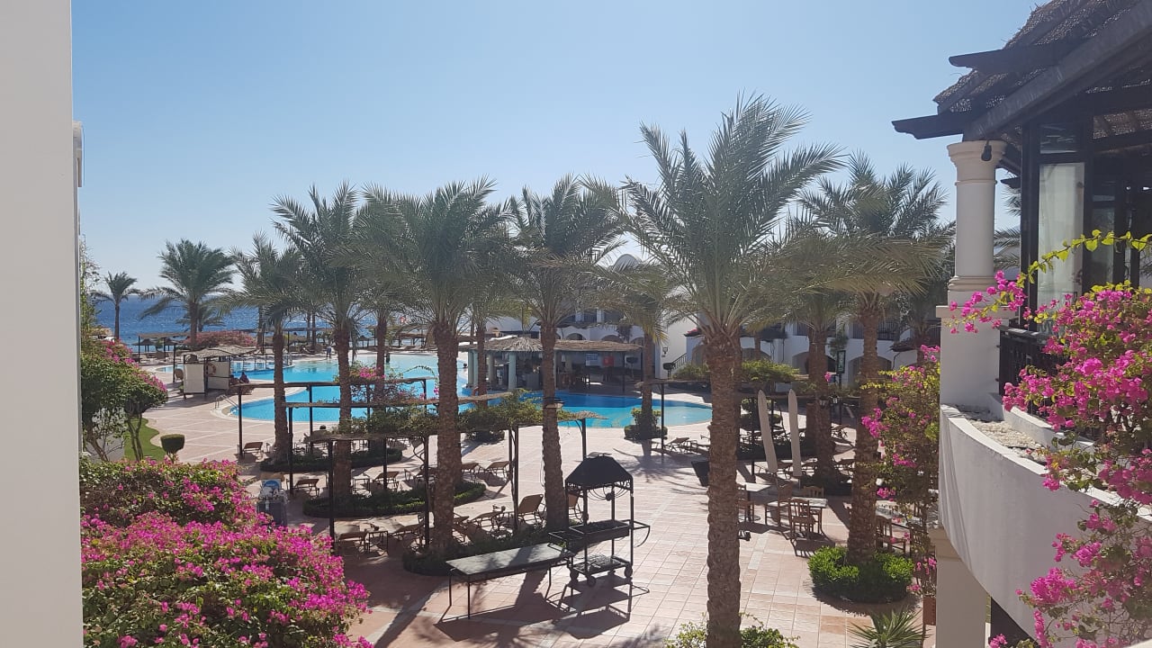 Außenansicht JAZ Dahabeya