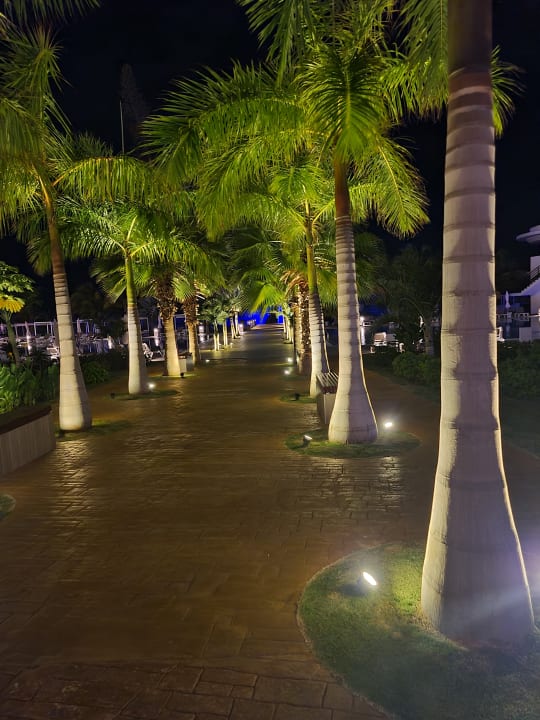 Gartenanlage Meliá Internacional Varadero