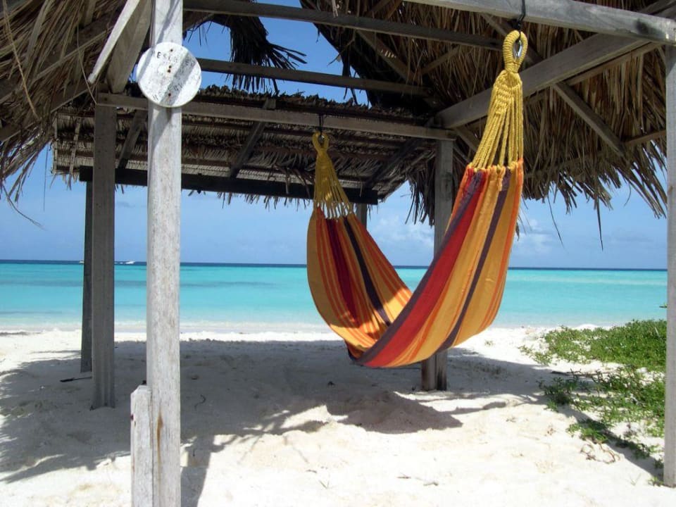 Strandhütte zu Wasse4rbungi 107 Summer Island Maldives