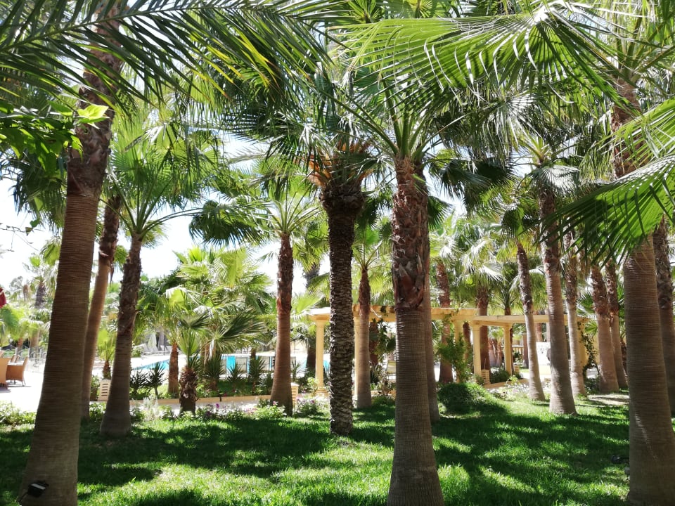 Ausblick The Ksar Djerba Charming Hotel & SPA