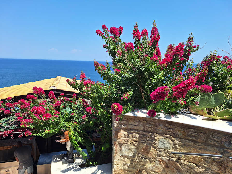 Gartenanlage Hotel Kalithea Horizon Royal