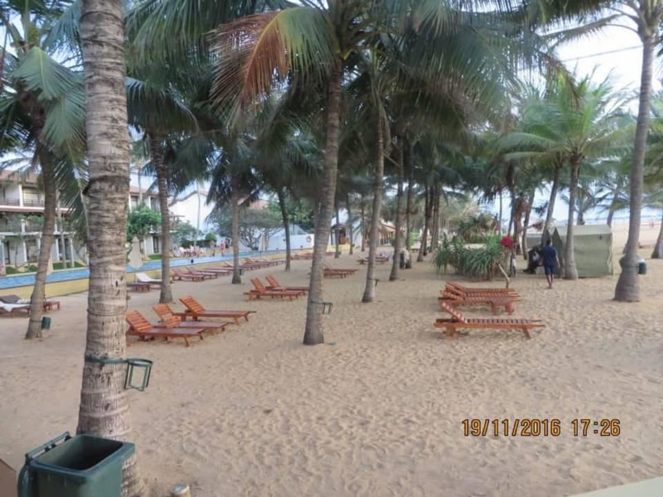 Strand und Liegen vor dem Hotel Hotel Jetwing Beach