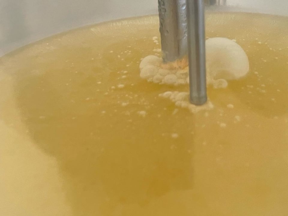 Gastro Alcudia Garden Aparthotel