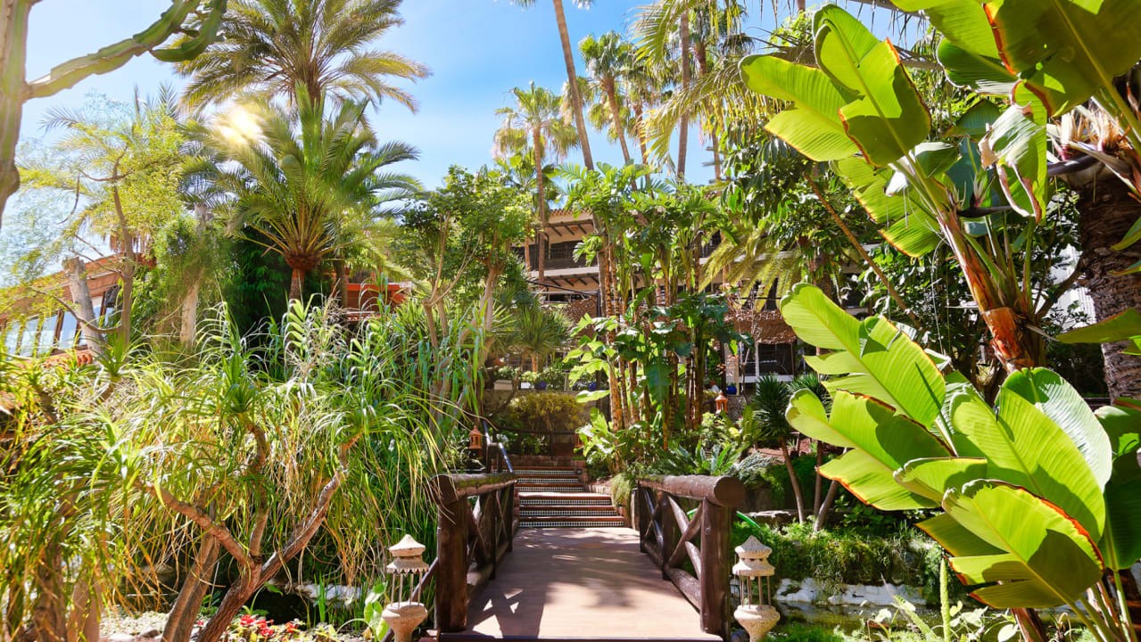 Gartenanlage Hotel Parque Tropical