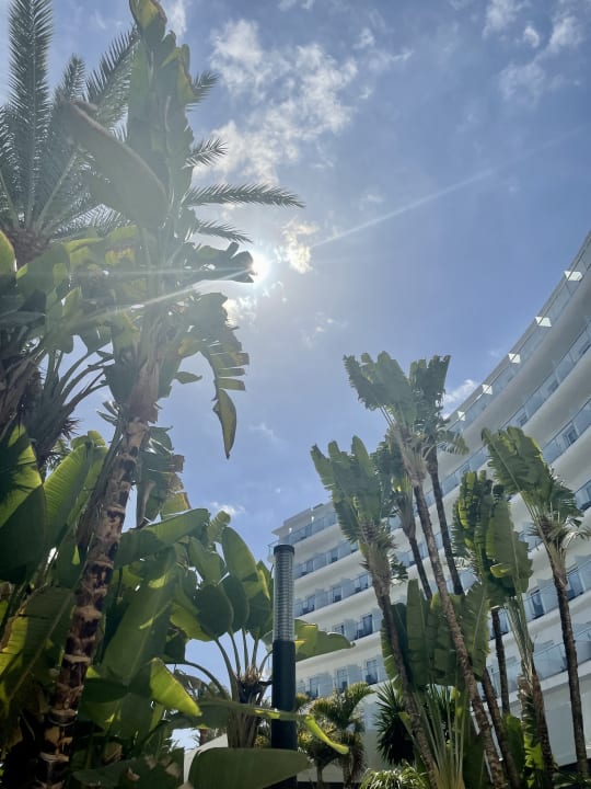 Ausblick Hotel Riu Palace Palmeras