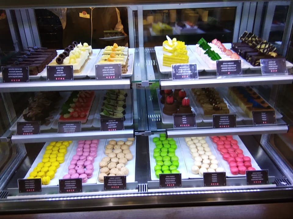 Gastro Acanthus Cennet Barut Collection