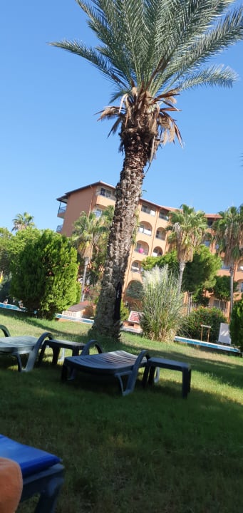 Außenansicht Club Turtas Beach Hotel