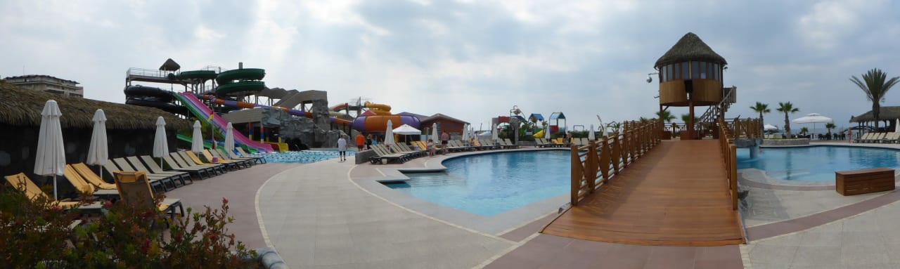 Auch für die Kleinen Papillon Belvil