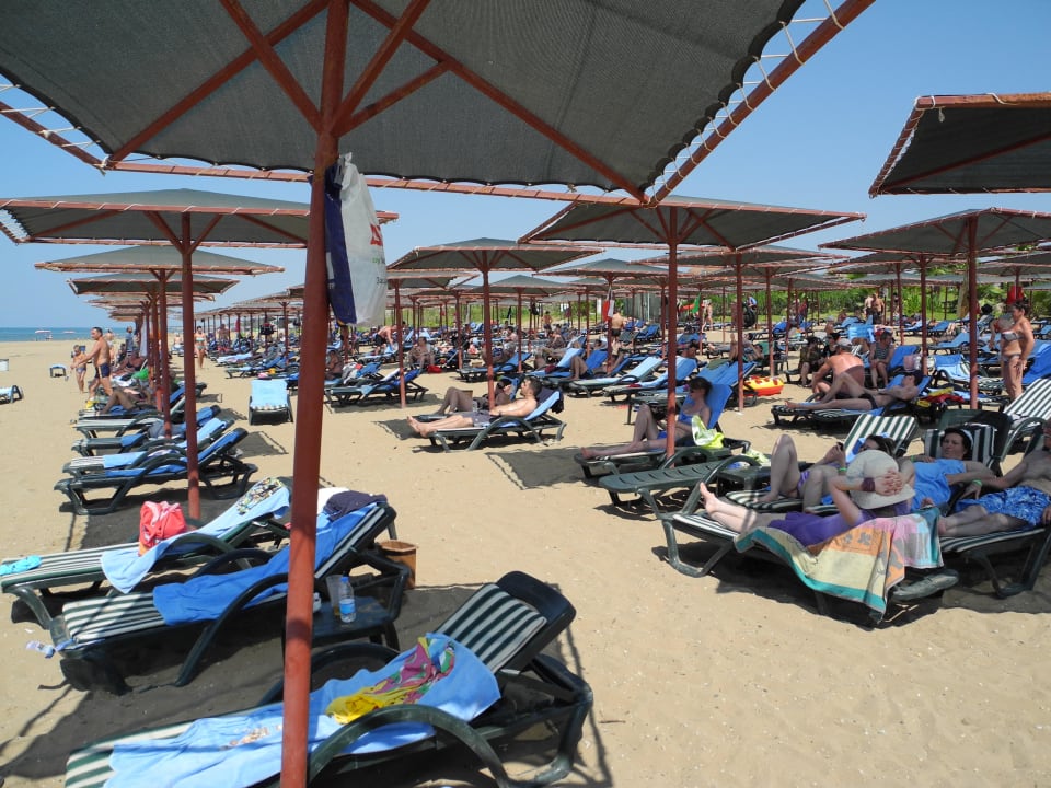 Liegen waren reichlich vorhanden Hotel Süral Resort