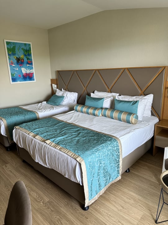 Zimmer Papillon Ayscha