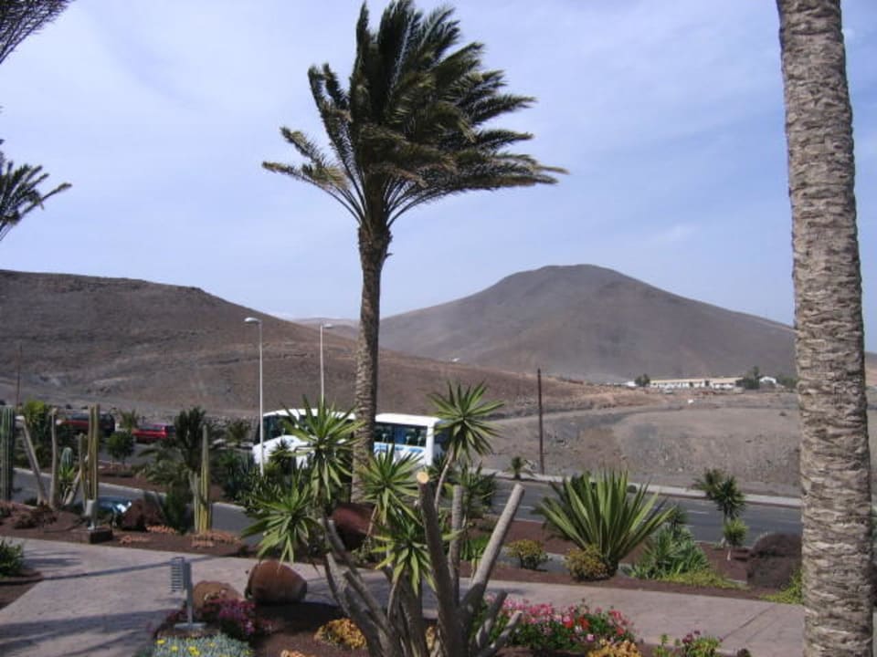 Der Bus  Occidental Jandía Mar