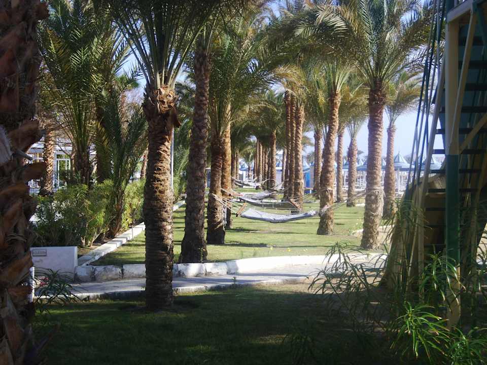 Hängematten The Grand Hotel Hurghada