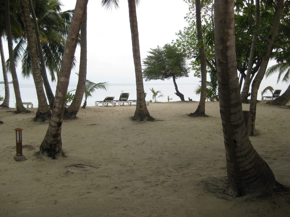  Blick von der Terrasse Vilamendhoo Island Resort & Spa