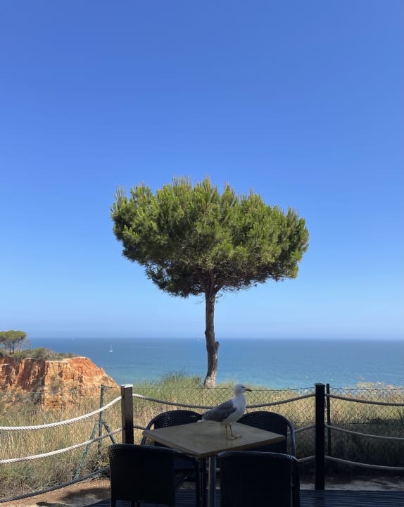 Ausblick PortoBay Falésia