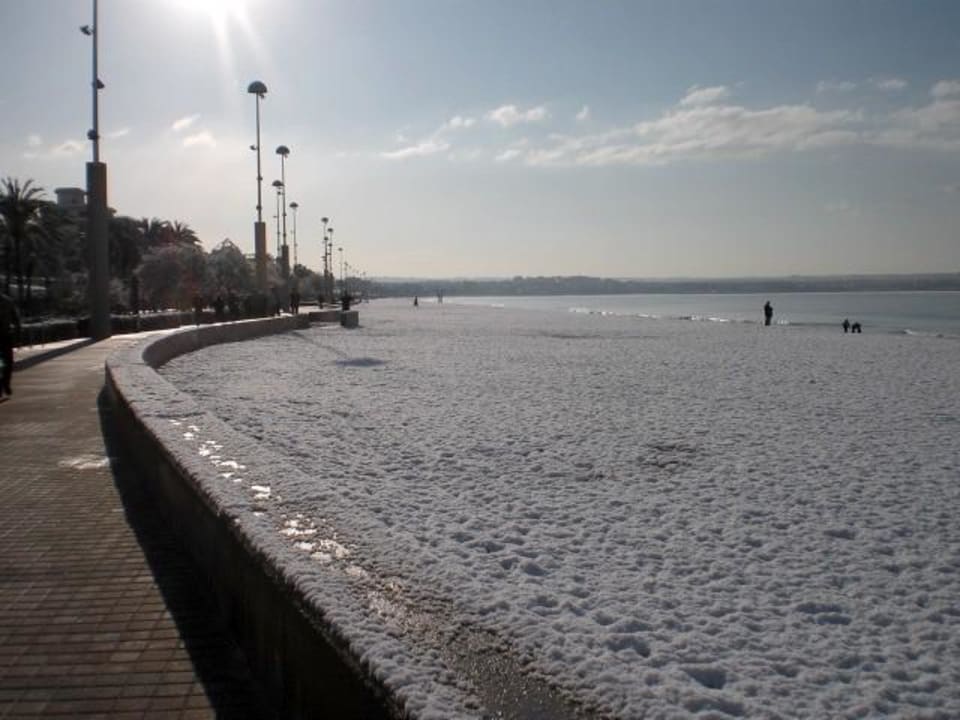 Strand Iberostar Waves Bahia de Palma