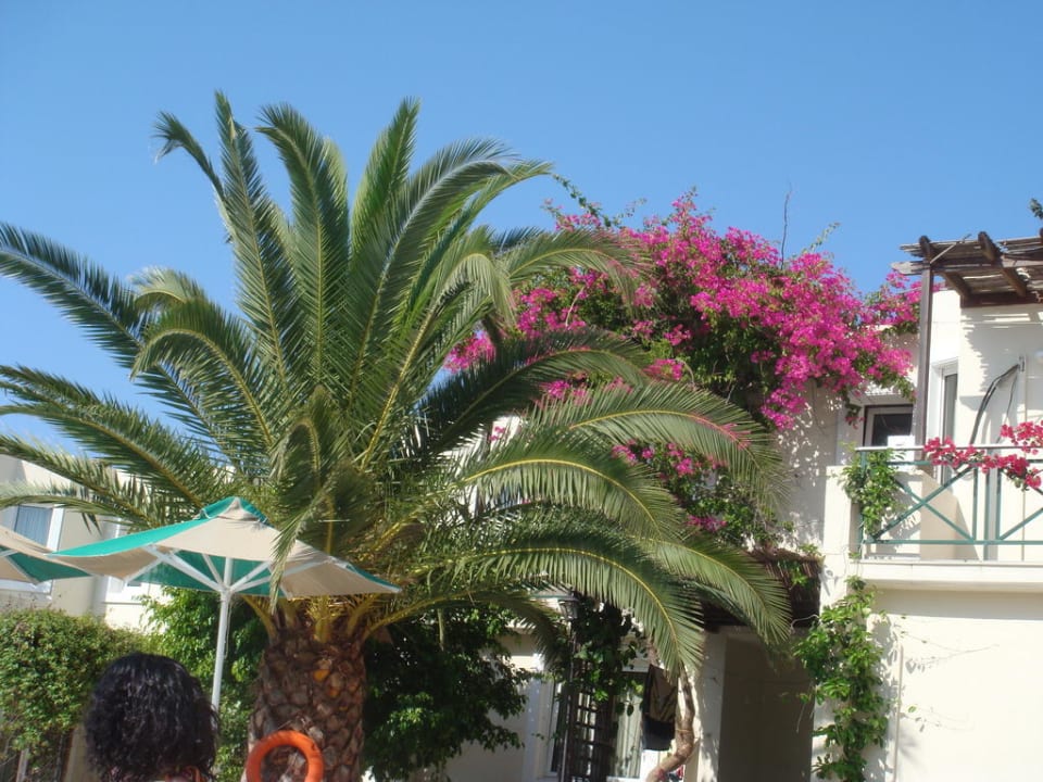 Am Ruhepool HARPIN Georgioupolis Resort Aquapark & SPA