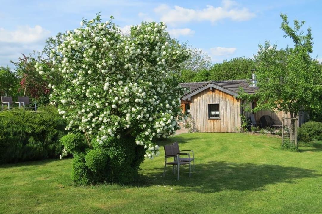 Außenanlage Haus Ferienwohnungen Alt Modling