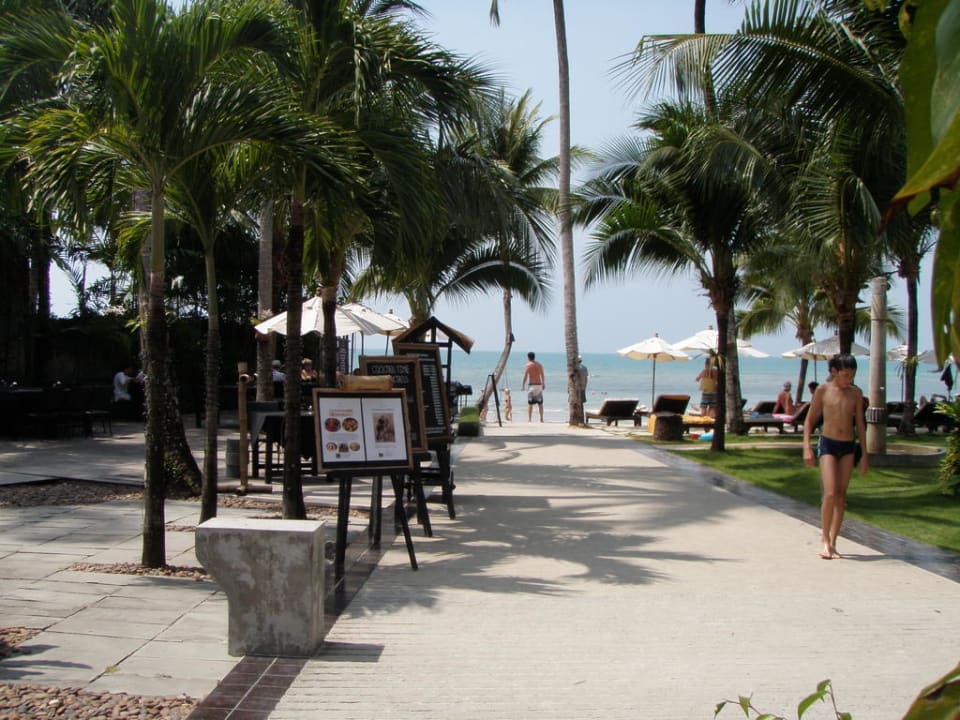 Blick von der Anlage zum Strand Hotel The Dewa Koh Chang