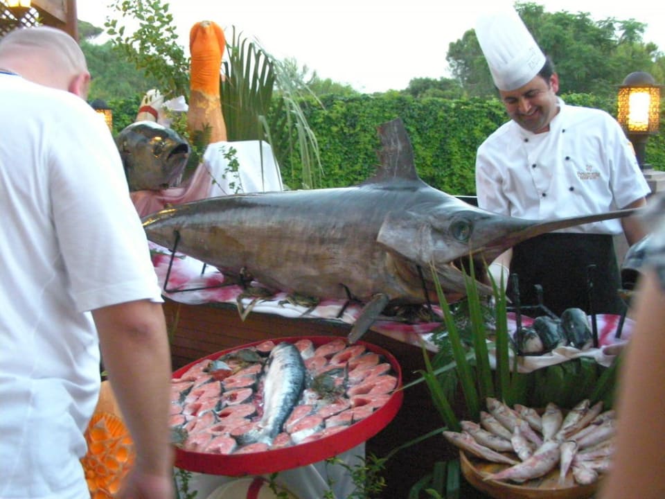 Fish display Papillon Zeugma Relaxury