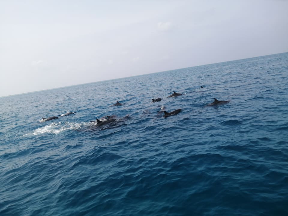 Strand Sun Siyam Olhuveli