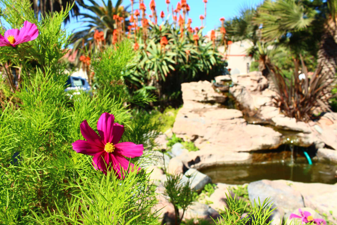 Gartenanlage Hotel Prinzessin Rupprecht