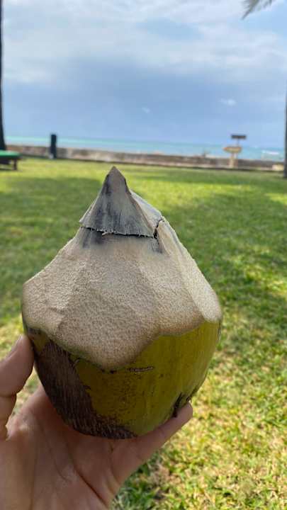 Gartenanlage Neptune Paradise Beach Resort & Spa