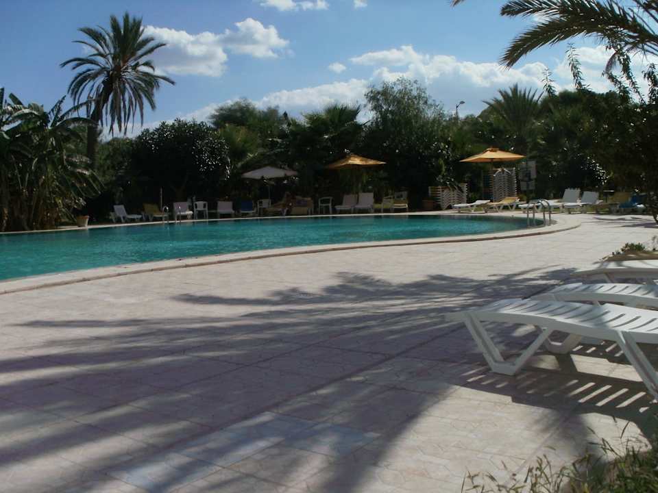 Ausblick auf einen Teil des Pools Hotel African Queen