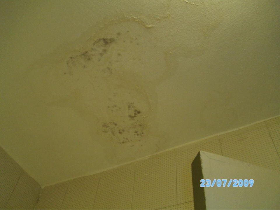 Schimmel Ghazala Gardens