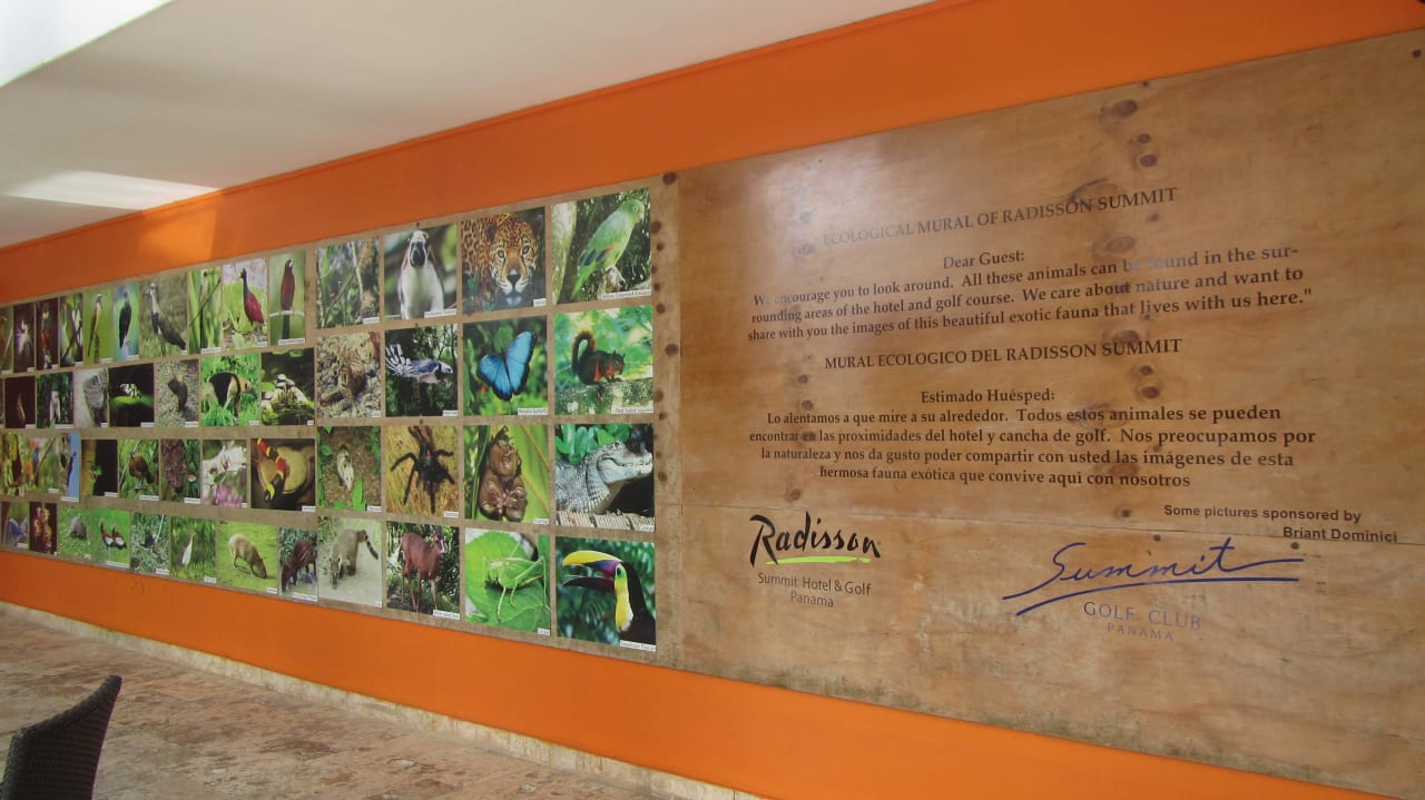 A very nice Golf resort Summit Rainforest & Golf Resort