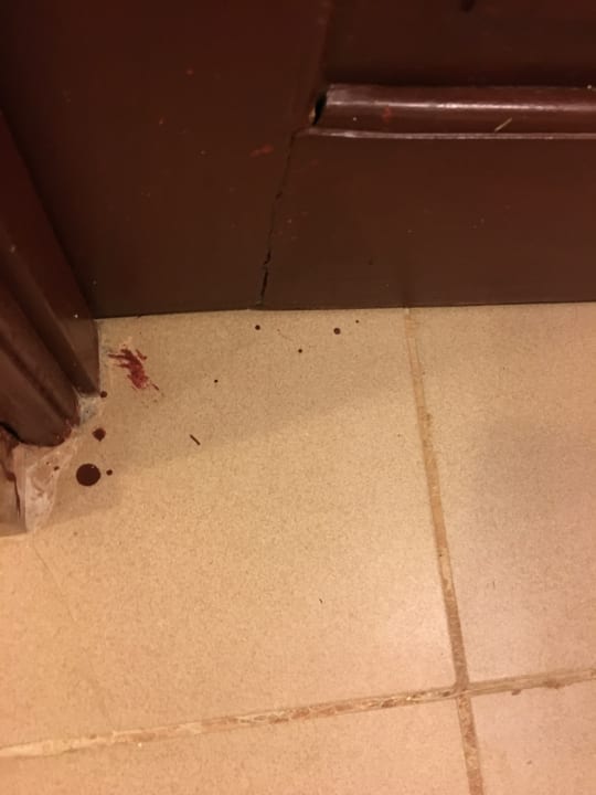 Zimmer Occidental Caribe