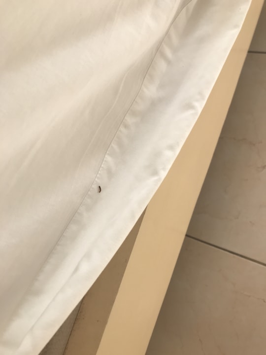 Zimmer Bahia Principe Grand El Portillo