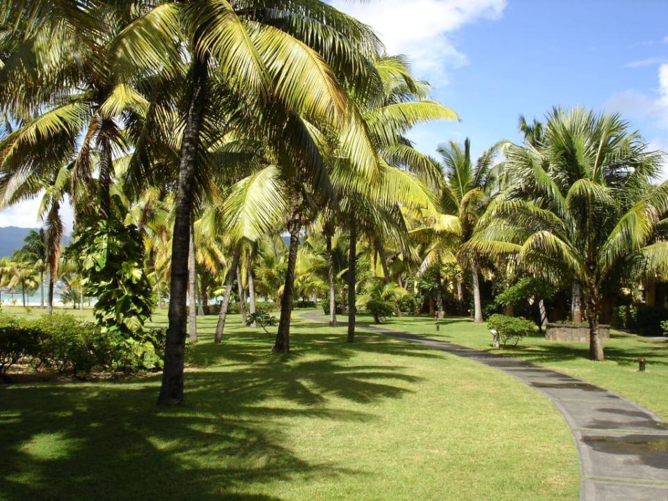 Gartenanlage Paradis Beachcomber Golf Resort & Spa