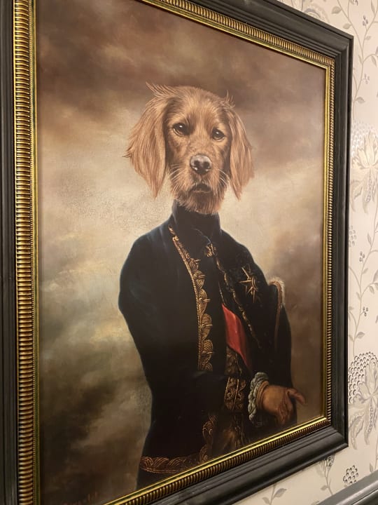 Zimmer The Clerk & Well Pub & Rooms