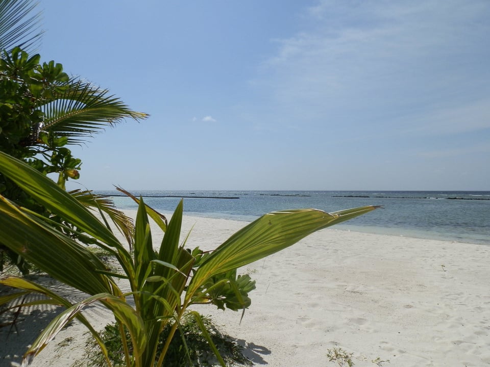 Ausblick Nordseite Kuredu Island Resort & Spa