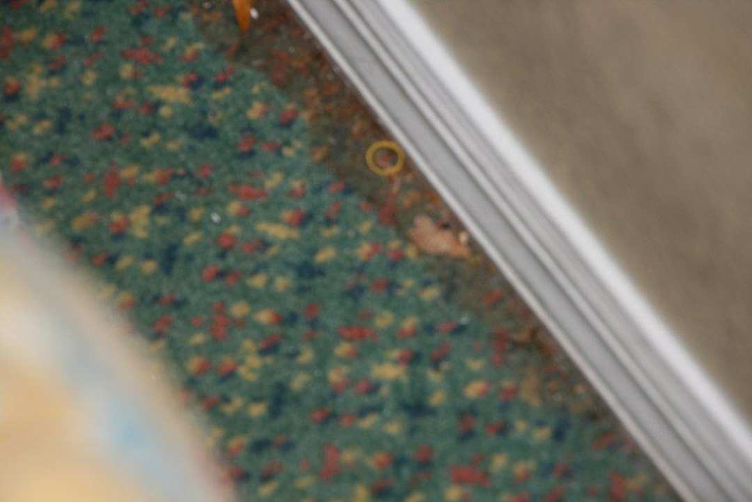 Schmutzig und eklig Oak Plantation Resort