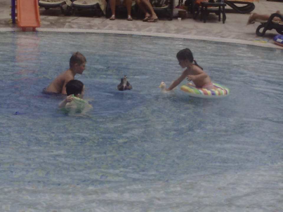 Babypool Royal Wings Hotel
