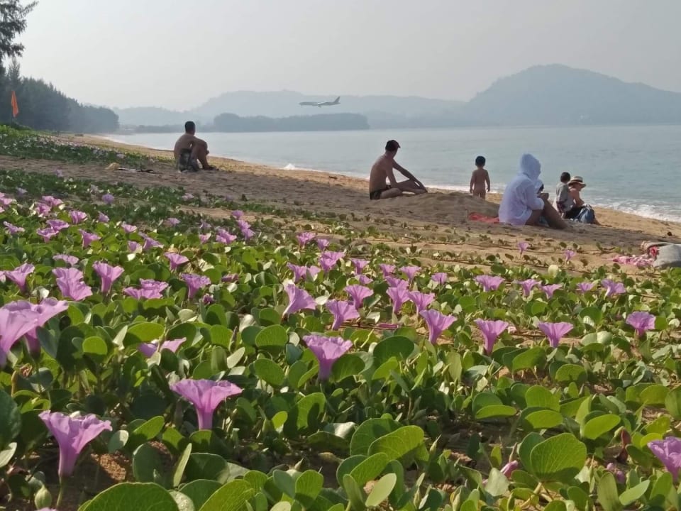 Strand Maikhao Palm Beach Resort