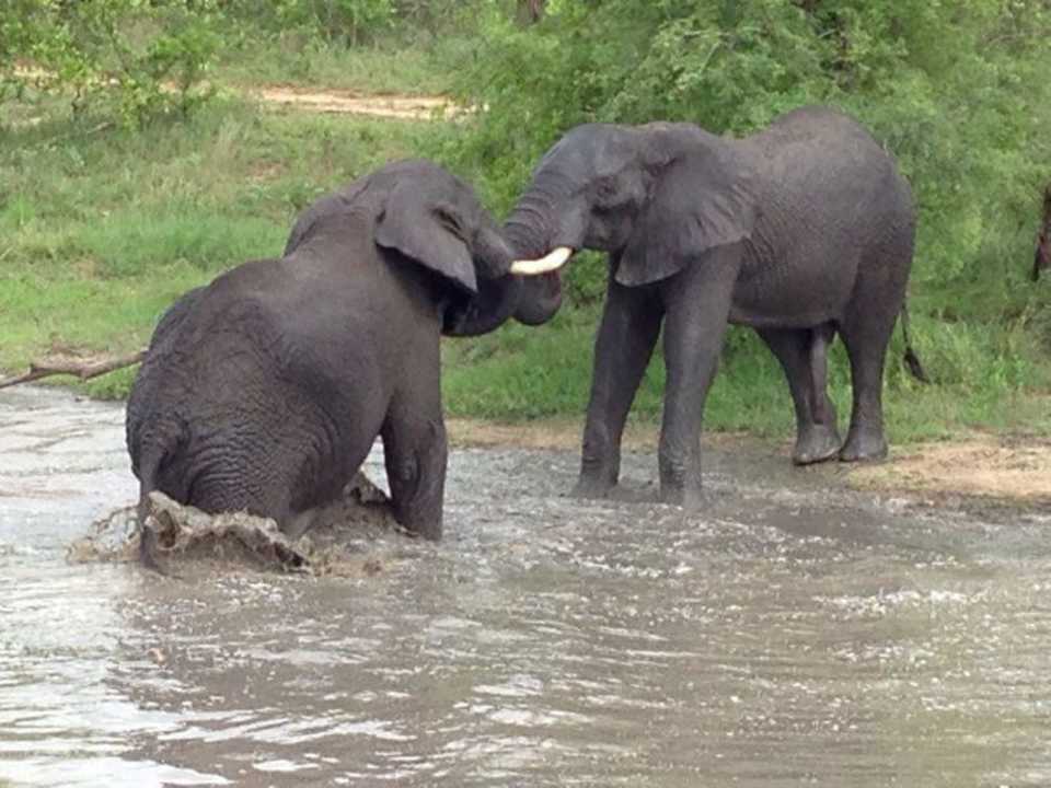 Safari Hotel Arathusa Safari Lodge